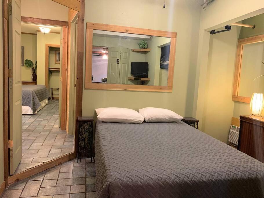 The River Haven - Sleeps 32 - On Guadalupe River シギーン エクステリア 写真
