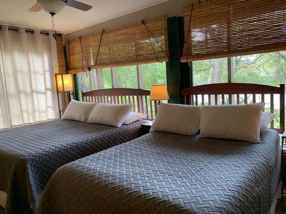 The River Haven - Sleeps 32 - On Guadalupe River シギーン エクステリア 写真