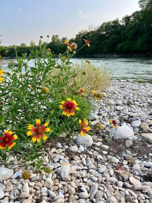 The River Haven - Sleeps 32 - On Guadalupe River シギーン エクステリア 写真