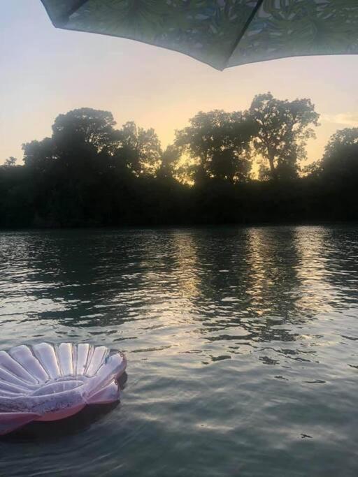 The River Haven - Sleeps 32 - On Guadalupe River シギーン エクステリア 写真